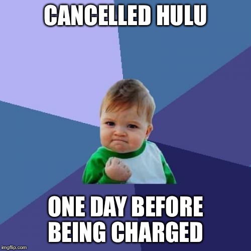 Success Kid | CANCELLED HULU; ONE DAY BEFORE BEING CHARGED | image tagged in memes,success kid,AdviceAnimals | made w/ Imgflip meme maker