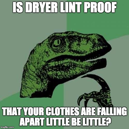 Philosoraptor | IS DRYER LINT PROOF; THAT YOUR CLOTHES ARE FALLING APART LITTLE BE LITTLE? | image tagged in memes,philosoraptor | made w/ Imgflip meme maker