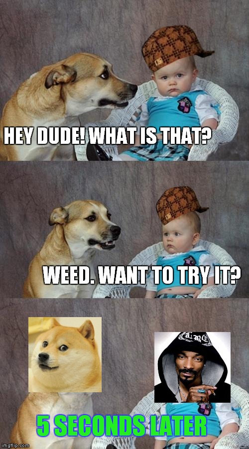 Dad Joke Dog Meme |  HEY DUDE! WHAT IS THAT? WEED. WANT TO TRY IT? 5 SECONDS LATER | image tagged in memes,dad joke dog,scumbag | made w/ Imgflip meme maker
