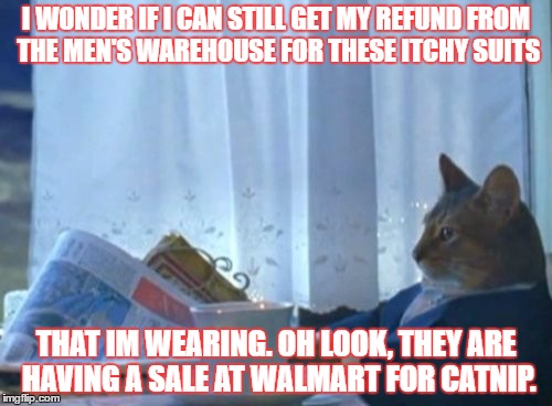 the thinking cat is thinking... | I WONDER IF I CAN STILL GET MY REFUND FROM THE MEN'S WAREHOUSE FOR THESE ITCHY SUITS; THAT IM WEARING. OH LOOK, THEY ARE HAVING A SALE AT WALMART FOR CATNIP. | image tagged in memes,i should buy a boat cat | made w/ Imgflip meme maker