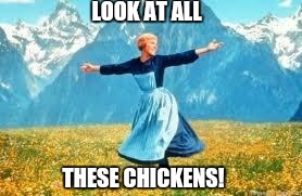 Look At All These | LOOK AT ALL; THESE CHICKENS! | image tagged in memes,look at all these | made w/ Imgflip meme maker