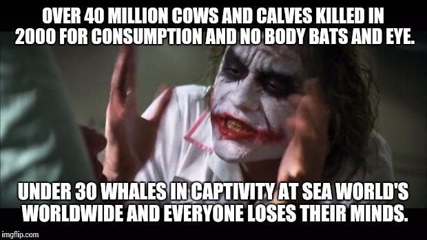 And everybody loses their minds | OVER 40 MILLION COWS AND CALVES KILLED IN 2000 FOR CONSUMPTION AND NO BODY BATS AND EYE. UNDER 30 WHALES IN CAPTIVITY AT SEA WORLD'S WORLDWIDE AND EVERYONE LOSES THEIR MINDS. | image tagged in memes,and everybody loses their minds | made w/ Imgflip meme maker