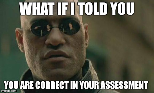 Matrix Morpheus Meme | WHAT IF I TOLD YOU YOU ARE CORRECT IN YOUR ASSESSMENT | image tagged in memes,matrix morpheus | made w/ Imgflip meme maker