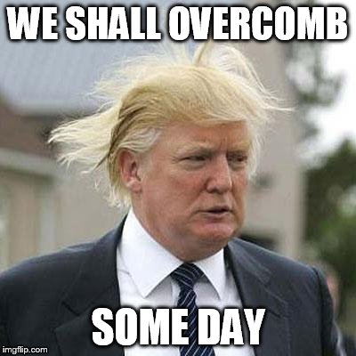 Srry for not posting a lot | WE SHALL OVERCOMB; SOME DAY | image tagged in donald trump,true | made w/ Imgflip meme maker