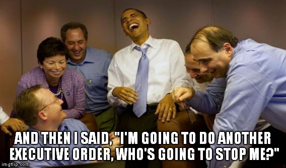 AND THEN I SAID, "I'M GOING TO DO ANOTHER EXECUTIVE ORDER, WHO'S GOING TO STOP ME?" | made w/ Imgflip meme maker