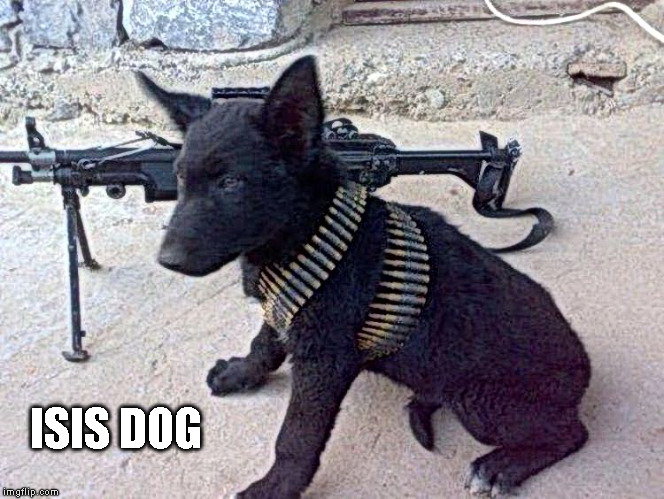 THE ISIS DOG | ISIS DOG | image tagged in isis,dog,soldier,war,humor,dogs | made w/ Imgflip meme maker