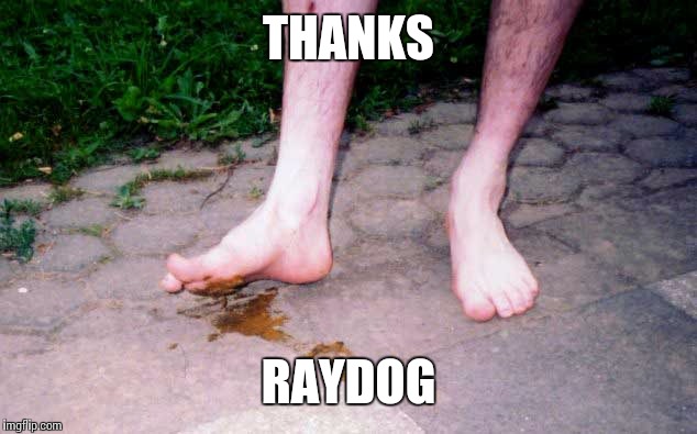 THANKS RAYDOG | made w/ Imgflip meme maker
