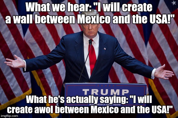 Donald Trump | What we hear: "I will create a wall between Mexico and the USA!"; What he's actually saying: "I will create awol between Mexico and the USA!" | image tagged in donald trump | made w/ Imgflip meme maker