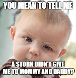 Skeptical Baby | YOU MEAN TO TELL ME; A STORK DIDN'T GIVE ME TO MOMMY AND DADDY? | image tagged in memes,skeptical baby | made w/ Imgflip meme maker