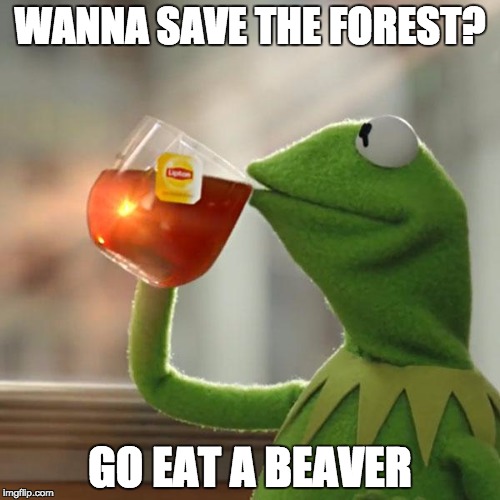 But That's None Of My Business | WANNA SAVE THE FOREST? GO EAT A BEAVER | image tagged in memes,but thats none of my business,kermit the frog | made w/ Imgflip meme maker