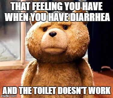 TED | THAT FEELING YOU HAVE WHEN YOU HAVE DIARRHEA; AND THE TOILET DOESN'T WORK | image tagged in memes,ted | made w/ Imgflip meme maker