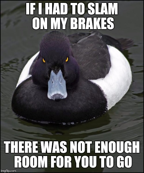 Angry duck | IF I HAD TO SLAM ON MY BRAKES; THERE WAS NOT ENOUGH ROOM FOR YOU TO GO | image tagged in angry duck,AdviceAnimals | made w/ Imgflip meme maker