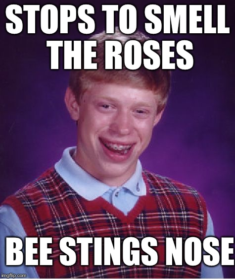 Bad Luck Brian Meme | STOPS TO SMELL THE ROSES; BEE STINGS NOSE | image tagged in memes,bad luck brian | made w/ Imgflip meme maker