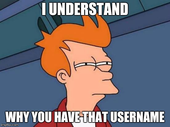 Futurama Fry Meme | I UNDERSTAND WHY YOU HAVE THAT USERNAME | image tagged in memes,futurama fry | made w/ Imgflip meme maker