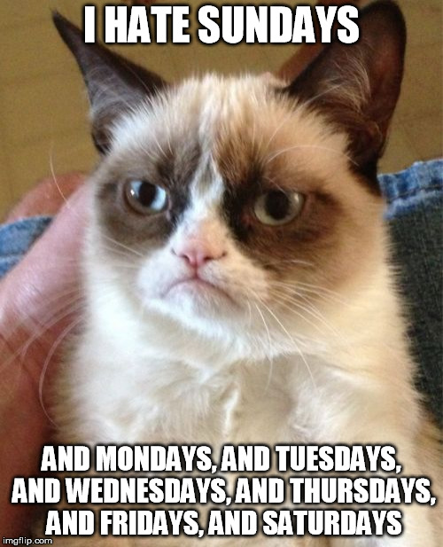 Grumpy Cat Meme | I HATE SUNDAYS; AND MONDAYS, AND TUESDAYS, AND WEDNESDAYS, AND THURSDAYS, AND FRIDAYS, AND SATURDAYS | image tagged in memes,grumpy cat | made w/ Imgflip meme maker