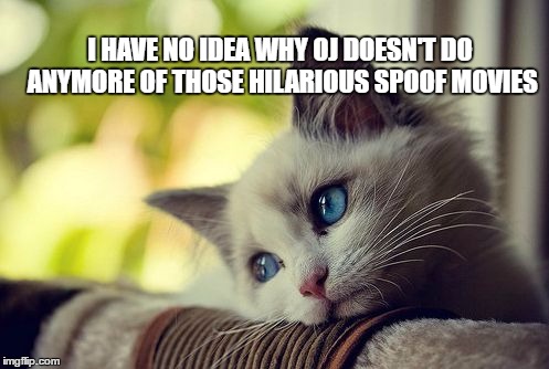 First World Problems Cat Meme | I HAVE NO IDEA WHY OJ DOESN'T DO ANYMORE OF THOSE HILARIOUS SPOOF MOVIES | image tagged in memes,first world problems cat | made w/ Imgflip meme maker