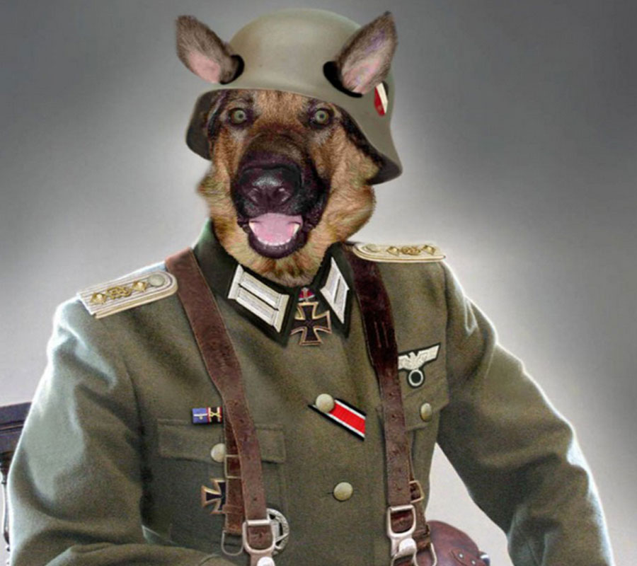 Nazi dog Blank Meme Template