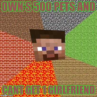 Minecraft Steve | OWN'S 500 PETS AND; CANT GET 1 GIRLFRIEND | image tagged in minecraft steve | made w/ Imgflip meme maker