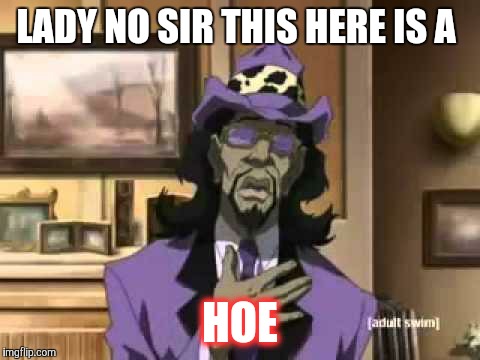 A Pimp Named Slickback | LADY NO SIR THIS HERE IS A; HOE | image tagged in a pimp named slickback | made w/ Imgflip meme maker