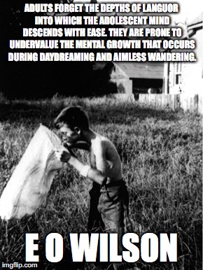 ADULTS FORGET THE DEPTHS OF LANGUOR INTO WHICH THE ADOLESCENT MIND DESCENDS WITH EASE. THEY ARE PRONE TO UNDERVALUE THE MENTAL GROWTH THAT OCCURS DURING DAYDREAMING AND AIMLESS WANDERING. E O WILSON | image tagged in e o,third plane,default mode network | made w/ Imgflip meme maker