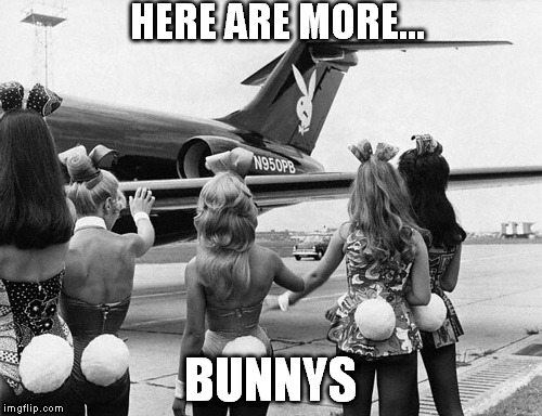 HERE ARE MORE... BUNNYS | made w/ Imgflip meme maker