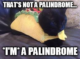 THAT'S NOT A PALINDROME... *I'M* A PALINDROME | made w/ Imgflip meme maker