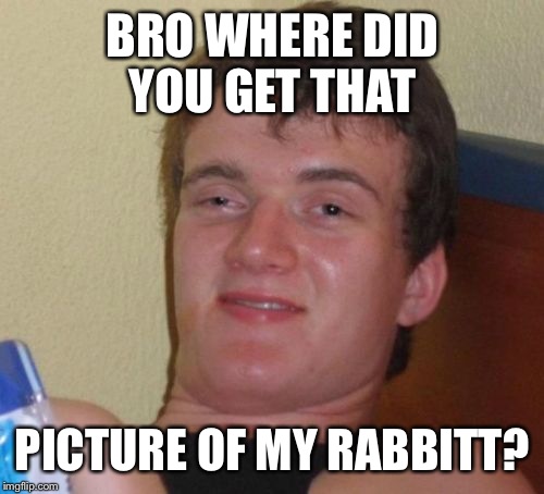 10 Guy Meme | BRO WHERE DID YOU GET THAT PICTURE OF MY RABBITT? | image tagged in memes,10 guy | made w/ Imgflip meme maker
