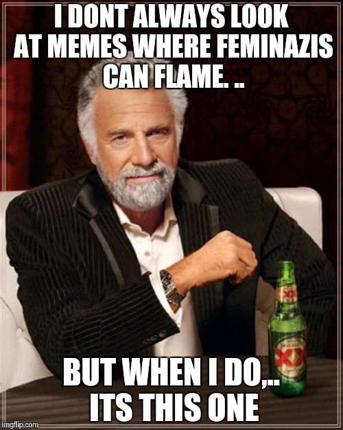 The Most Interesting Man In The World Meme | I DONT ALWAYS LOOK AT MEMES WHERE FEMINAZIS CAN FLAME. .. BUT WHEN I DO,.. ITS THIS ONE | image tagged in memes,the most interesting man in the world | made w/ Imgflip meme maker