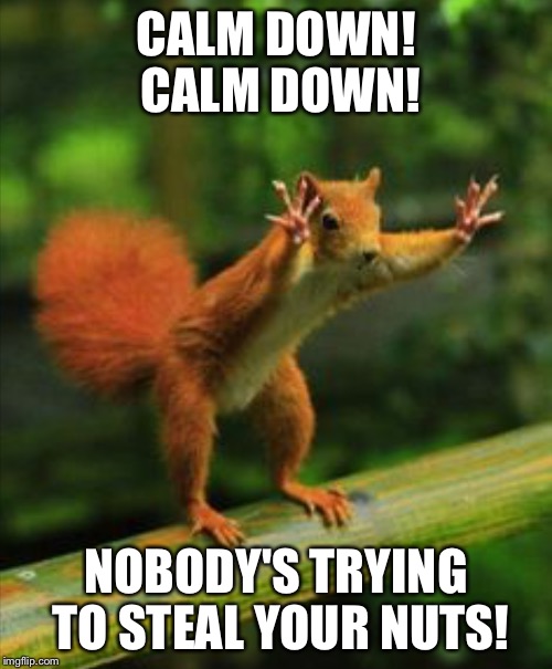 MAYOR OF REDSQUIRREL | CALM DOWN! CALM DOWN! NOBODY'S TRYING TO STEAL YOUR NUTS! | image tagged in red squirrel | made w/ Imgflip meme maker