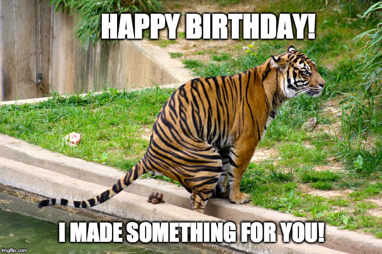 tiger poop | HAPPY BIRTHDAY! I MADE SOMETHING FOR YOU! | image tagged in tiger poop | made w/ Imgflip meme maker