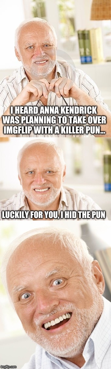 Introducing, "Hide the pun Harold"! Now Hiding pain & puns! (Sorry bad pun dog). | I HEARD ANNA KENDRICK WAS PLANNING TO TAKE OVER IMGFLIP WITH A KILLER PUN... LUCKILY FOR YOU, I HID THE PUN | image tagged in hide the pun harold,bad pun,memes,funny | made w/ Imgflip meme maker