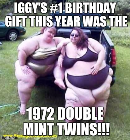 Fat girl's on a truck | IGGY'S #1 BIRTHDAY GIFT THIS YEAR WAS THE; 1972 DOUBLE MINT TWINS!!! | image tagged in fat girl's on a truck | made w/ Imgflip meme maker