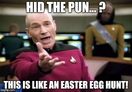 Picard Wtf Meme | HID THE PUN... ? THIS IS LIKE AN EASTER EGG HUNT! | image tagged in memes,picard wtf | made w/ Imgflip meme maker