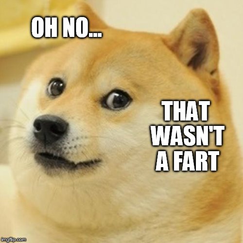 Doge | OH NO... THAT WASN'T A FART | image tagged in memes,doge | made w/ Imgflip meme maker