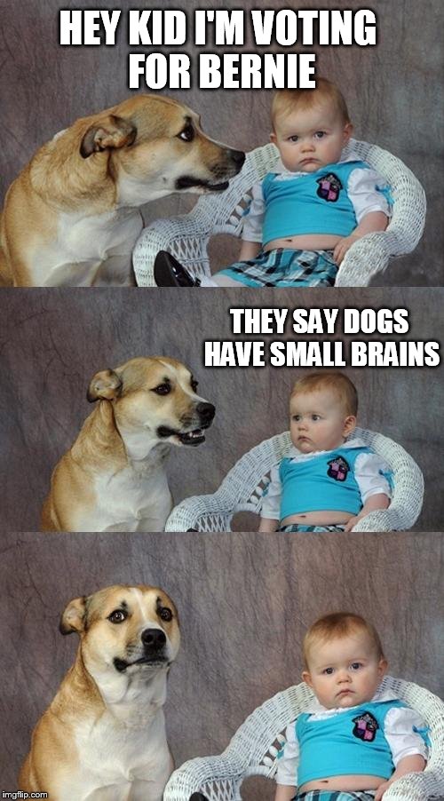 Dad Joke Dog | HEY KID I'M VOTING FOR BERNIE; THEY SAY DOGS HAVE SMALL BRAINS | image tagged in memes,dad joke dog | made w/ Imgflip meme maker
