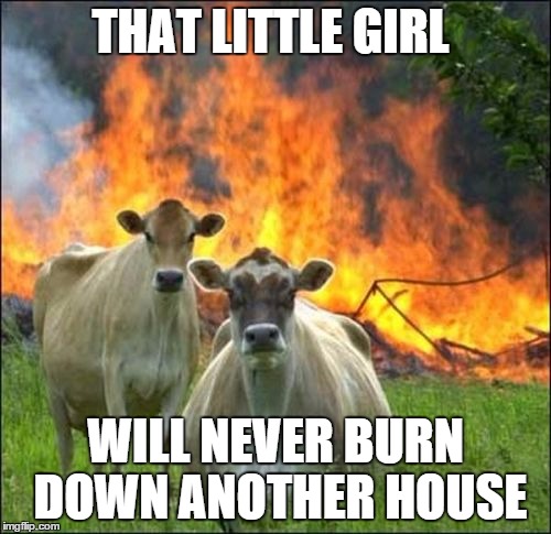 Evil Cows | THAT LITTLE GIRL; WILL NEVER BURN DOWN ANOTHER HOUSE | image tagged in memes,evil cows | made w/ Imgflip meme maker