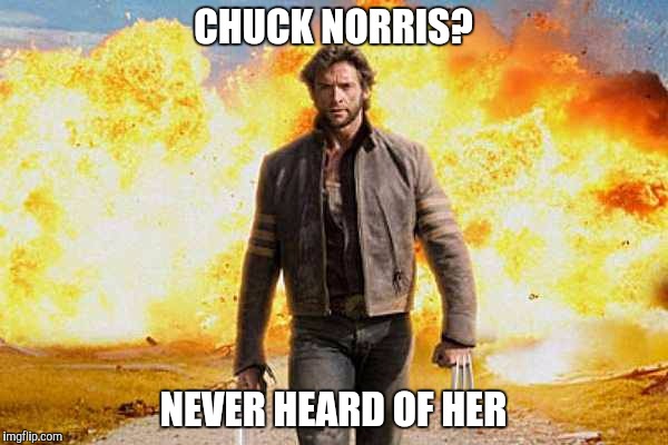 Wolverine walks away | CHUCK NORRIS? NEVER HEARD OF HER | image tagged in wolverine walks away | made w/ Imgflip meme maker