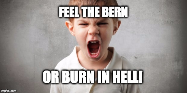 FEEL THE BERN; OR BURN IN HELL! | image tagged in bernibot | made w/ Imgflip meme maker