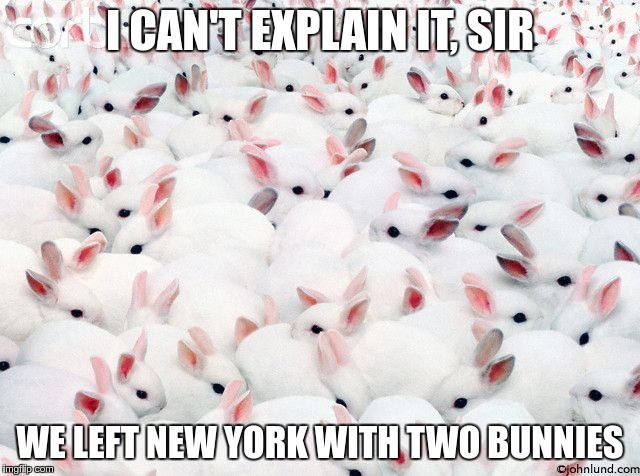 I CAN'T EXPLAIN IT, SIR WE LEFT NEW YORK WITH TWO BUNNIES | made w/ Imgflip meme maker