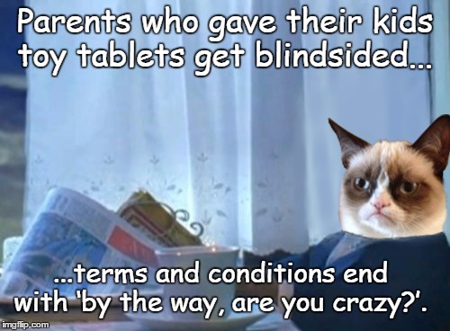 Grumpy newspaper cat | Parents who gave their kids toy tablets get blindsided... ...terms and conditions end with ‘by the way, are you crazy?’. | image tagged in funny,memes,animals | made w/ Imgflip meme maker