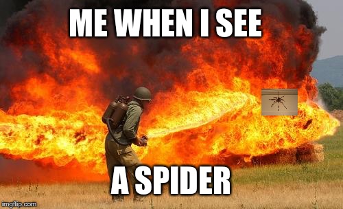Nope flamethrower | ME WHEN I SEE; A SPIDER | image tagged in nope flamethrower | made w/ Imgflip meme maker