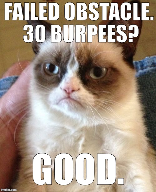 Grumpy Cat Meme | FAILED OBSTACLE. 30 BURPEES? GOOD. | image tagged in memes,grumpy cat | made w/ Imgflip meme maker