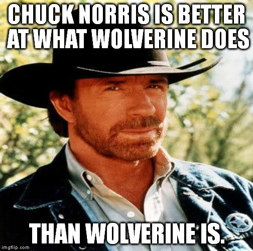 CHUCK NORRIS IS BETTER AT WHAT WOLVERINE DOES THAN WOLVERINE IS. | image tagged in memes,chuck norris | made w/ Imgflip meme maker