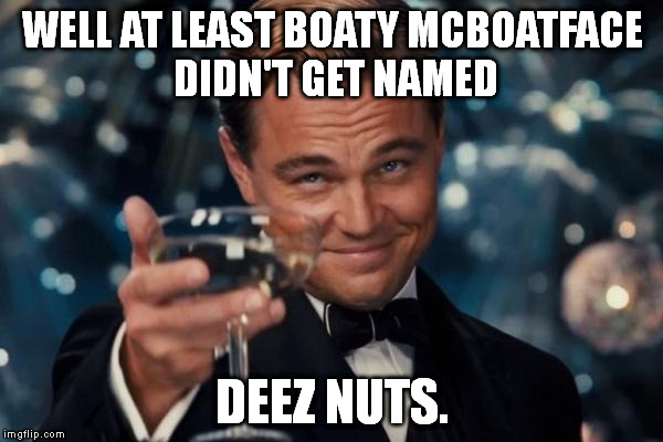 It coulda been a whole lot worse! | WELL AT LEAST BOATY MCBOATFACE DIDN'T GET NAMED; DEEZ NUTS. | image tagged in memes,leonardo dicaprio cheers | made w/ Imgflip meme maker