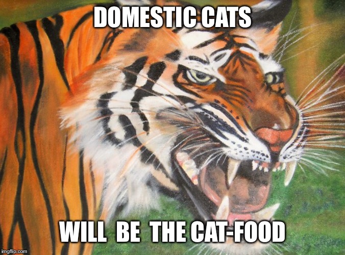 Hipster tiger | DOMESTIC CATS WILL  BE  THE CAT-FOOD | image tagged in hipster tiger | made w/ Imgflip meme maker