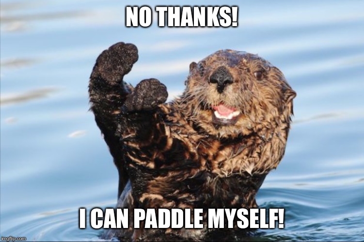 NO THANK YOU | NO THANKS! I CAN PADDLE MYSELF! | image tagged in no thank you | made w/ Imgflip meme maker