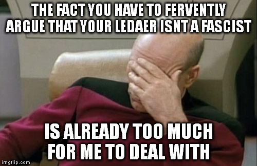 Captain Picard Facepalm Meme | THE FACT YOU HAVE TO FERVENTLY ARGUE THAT YOUR LEDAER ISNT A FASCIST; IS ALREADY TOO MUCH FOR ME TO DEAL WITH | image tagged in memes,captain picard facepalm | made w/ Imgflip meme maker