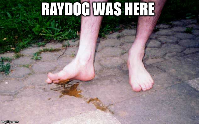 It is all raydogs fault lol  | RAYDOG WAS HERE | image tagged in dog,crap | made w/ Imgflip meme maker