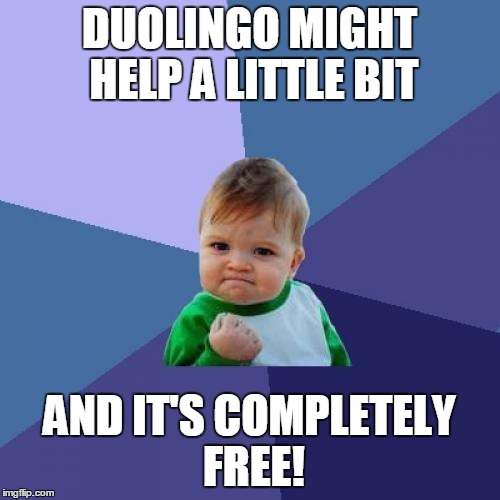 Success Kid Meme | DUOLINGO MIGHT HELP A LITTLE BIT AND IT'S COMPLETELY FREE! | image tagged in memes,success kid | made w/ Imgflip meme maker