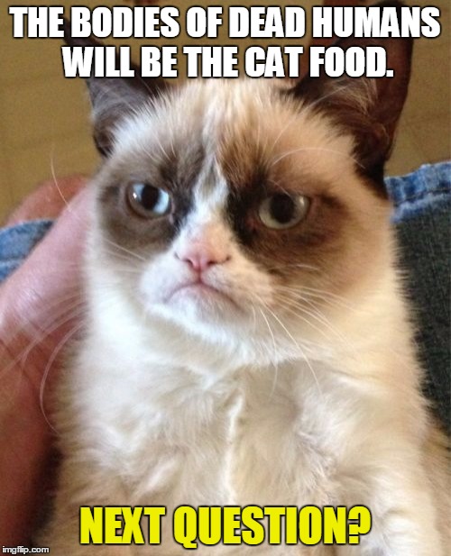 Grumpy Cat Meme | THE BODIES OF DEAD HUMANS WILL BE THE CAT FOOD. NEXT QUESTION? | image tagged in memes,grumpy cat | made w/ Imgflip meme maker